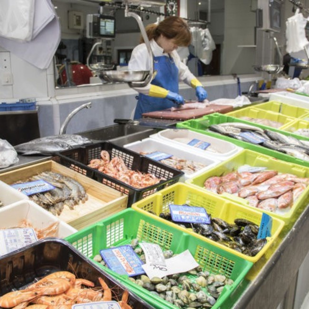 Pescados y Mariscos Koldo