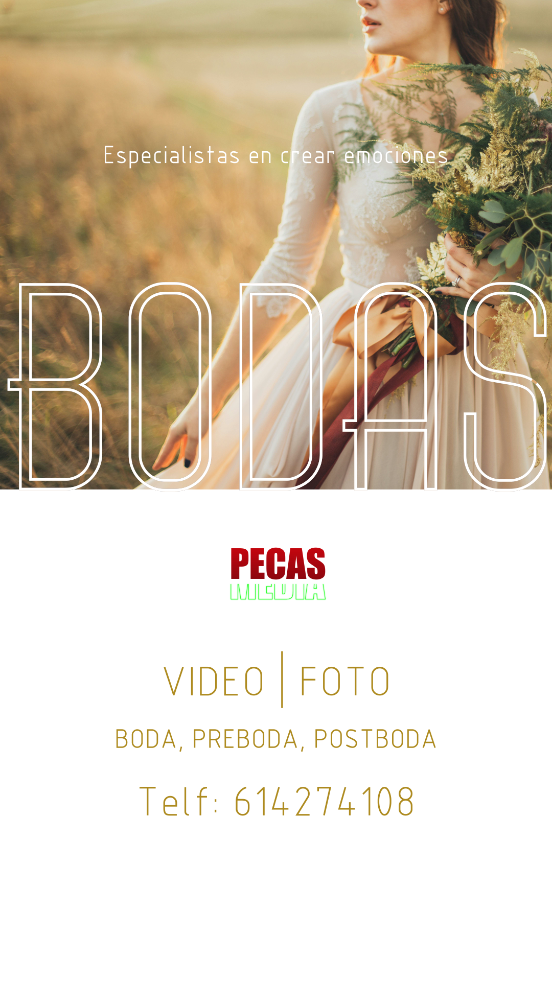 MEDIAPECAS PRODUCTORA AUDIOVISUAL