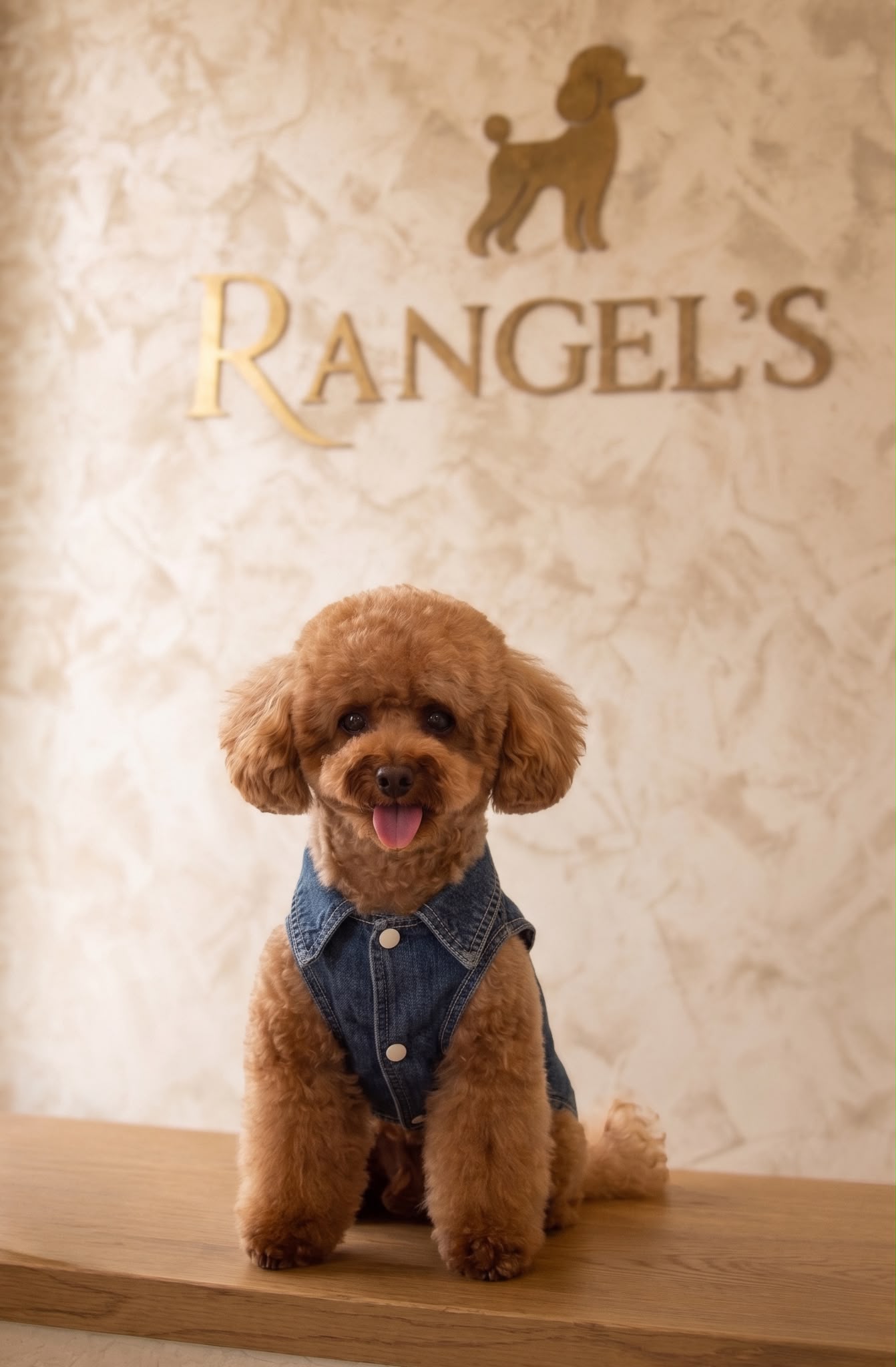 RANGELS