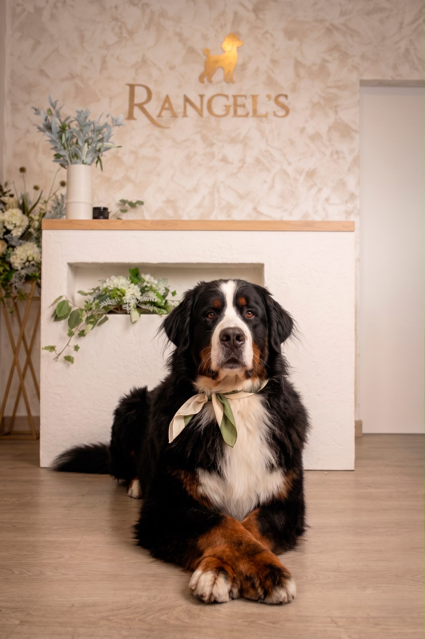 RANGELS